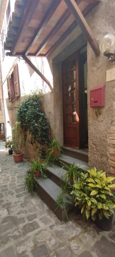 Il Vicoletto Villa Bolsena Kültér fotó